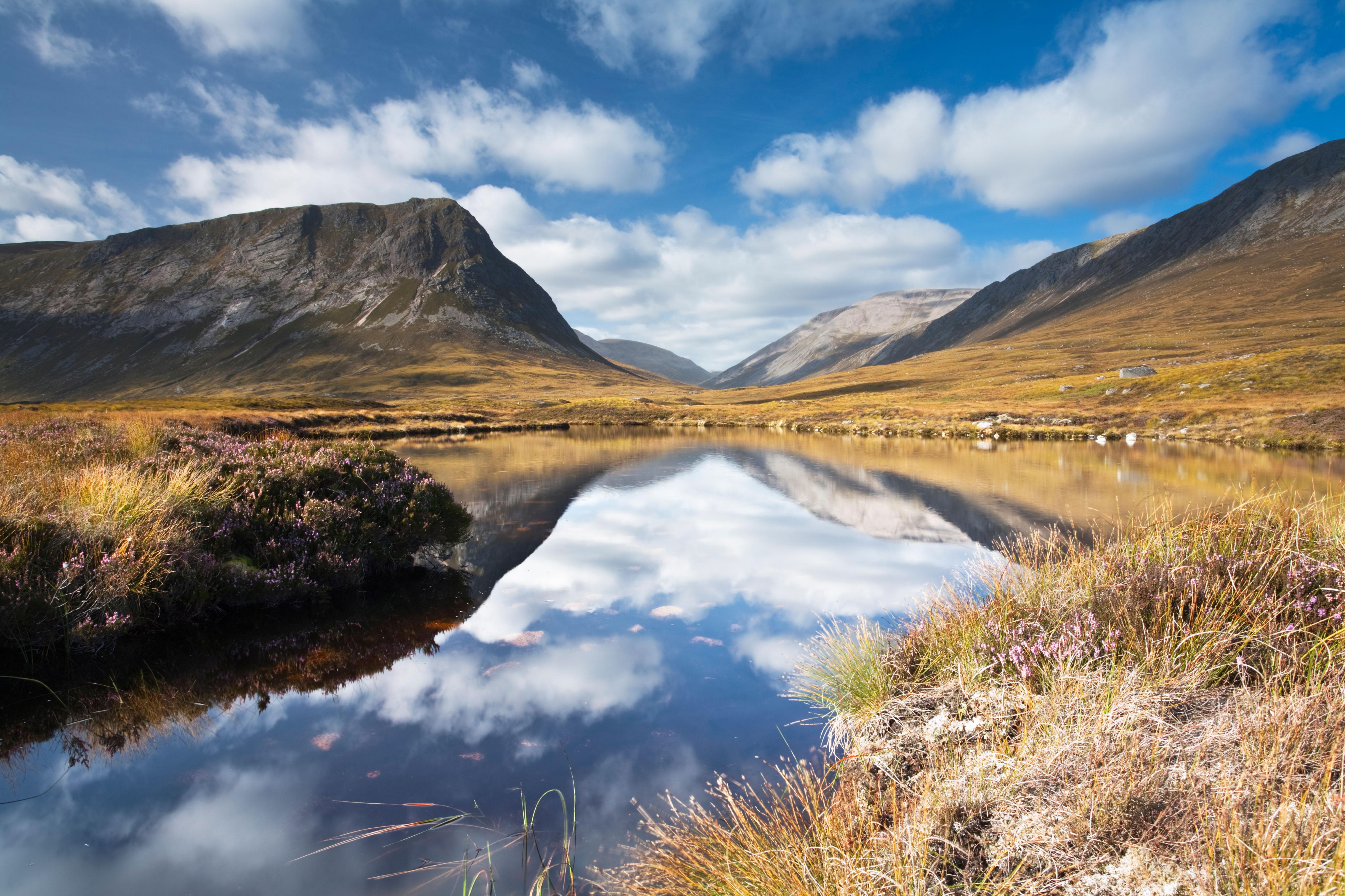 كلية تكنولوجيا المعلومات